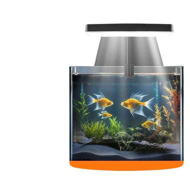 Lampada LED USB per Acquario c - Home Office Lamp recensione e prezzo