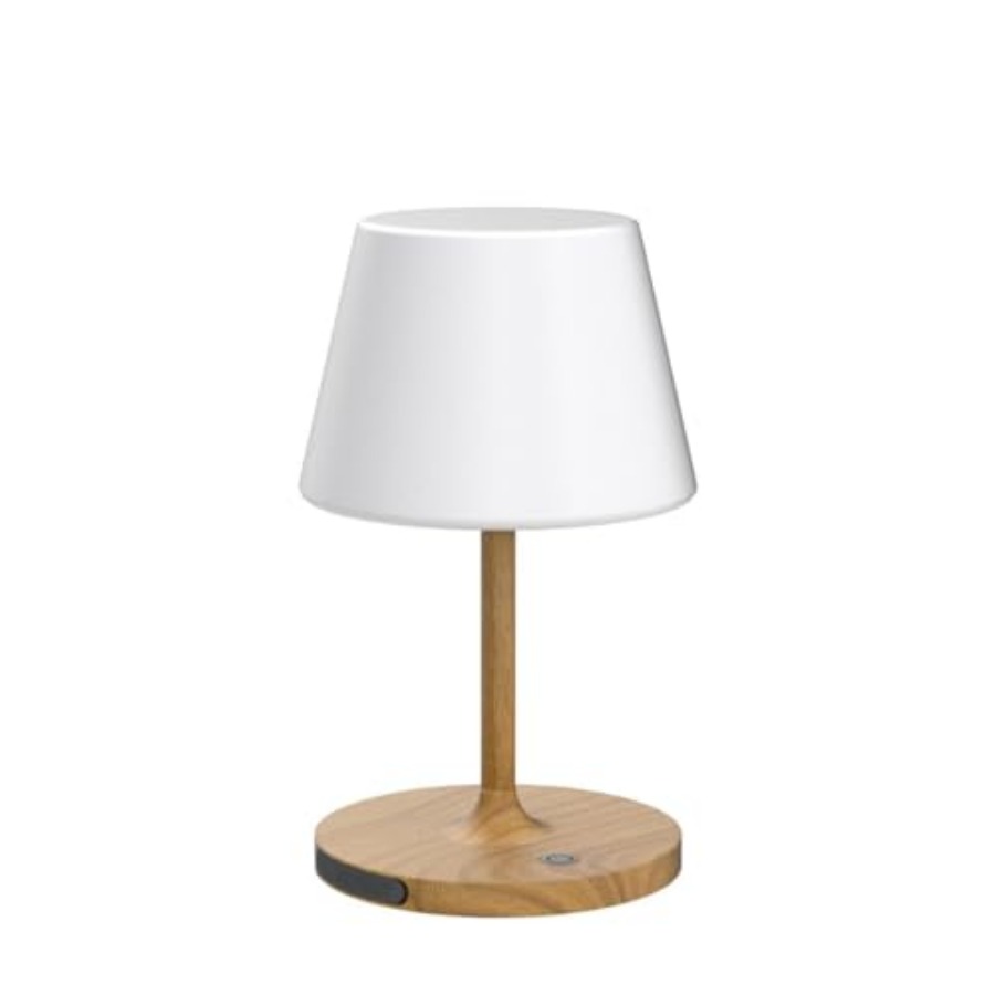 Lampada da Tavolo a Batteria p - Desk Lamp Led recensione e prezzo