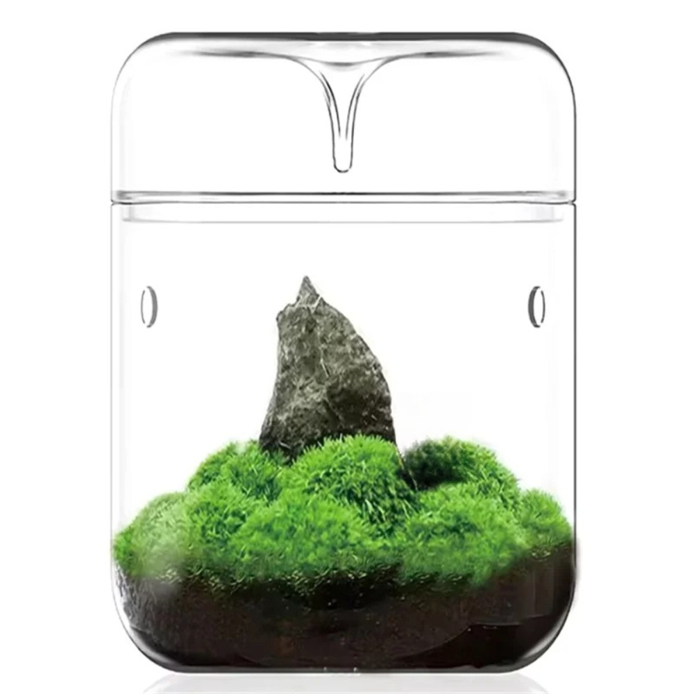 Terrario Ecologico in Vetro da - Home Office With View recensione e prezzo